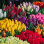 Najlepsza kwiaciarnia online w Suwałkach